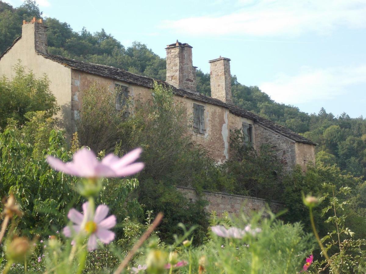 Bed and Breakfast Le Cintrium Viala-du-Tarn Exterior foto