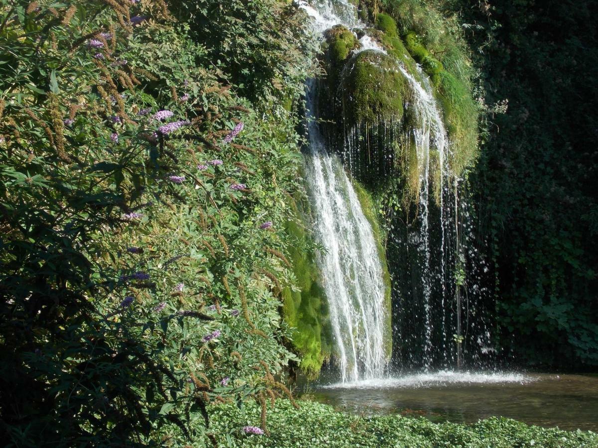Bed and Breakfast Le Cintrium Viala-du-Tarn Exterior foto